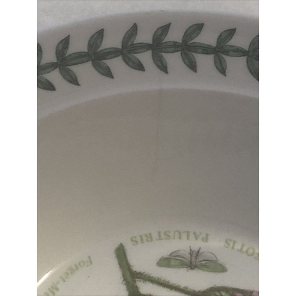 Portmeirion Botanic Garden Forget Me Not Rim Cereal Oatmeal Bowl Made In England - Picture 10 of 12
